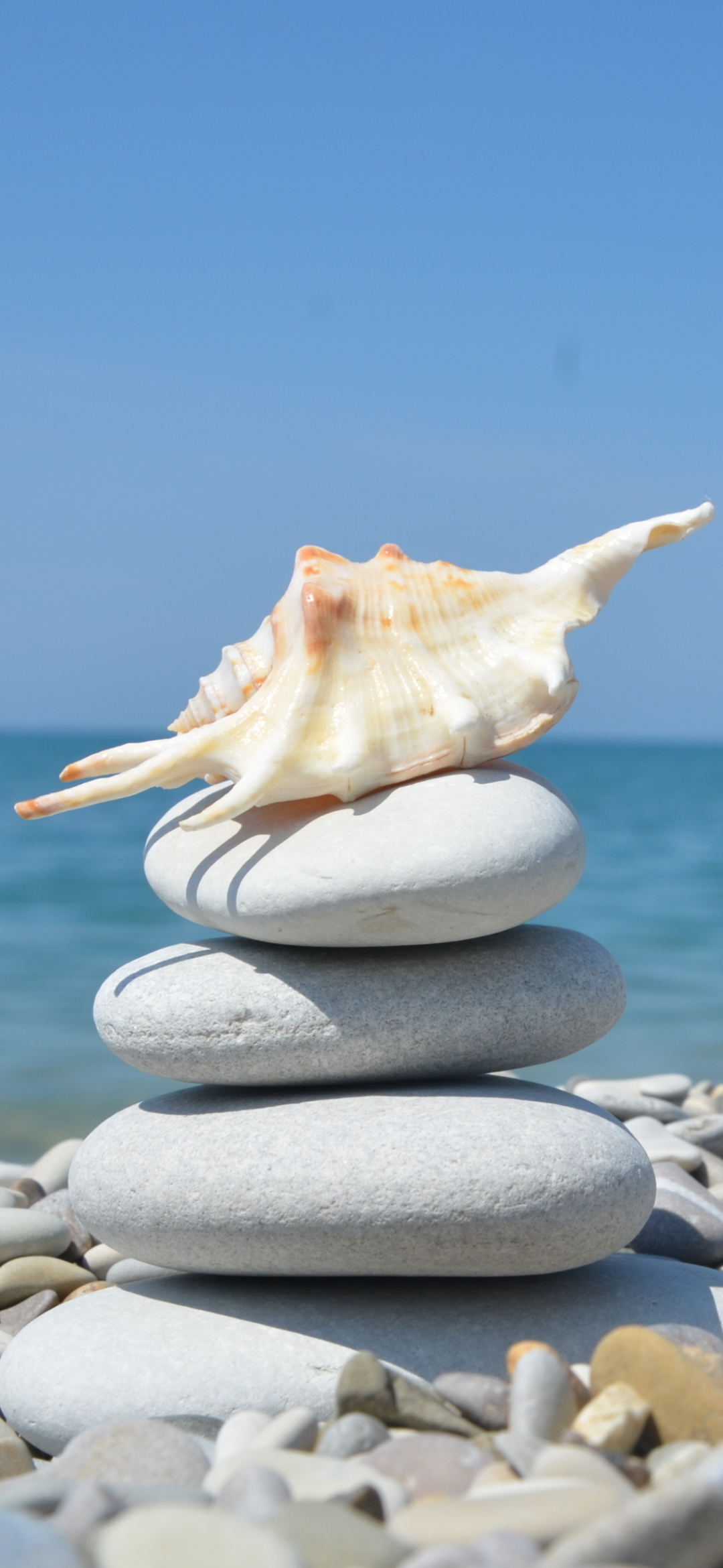 1080x2340  обои на телефон. эстетика | Wallpaper paisagem, Fotografia de paisagem,  Papel de parede de oceano