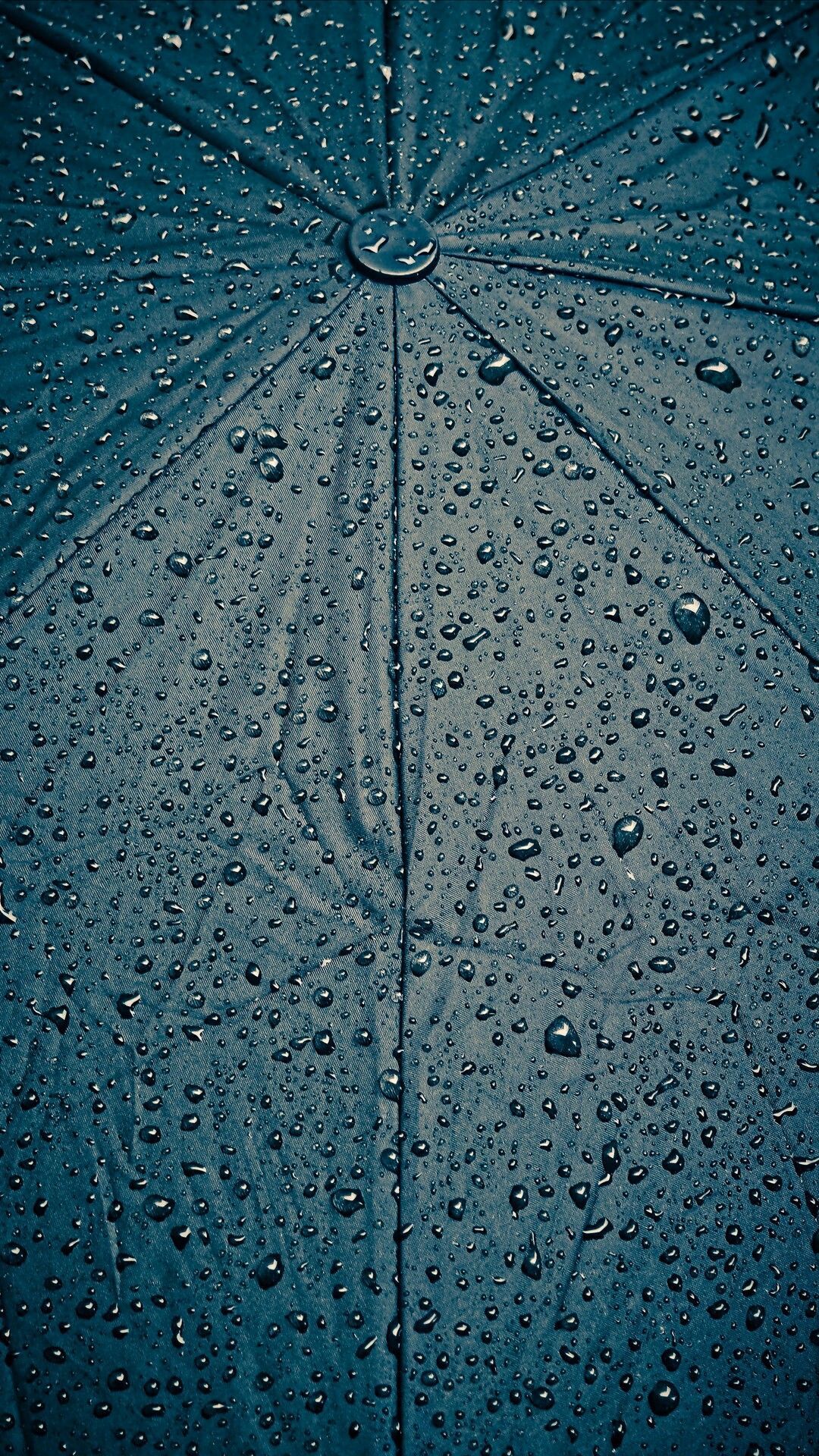 1080x1920  Реалистичные обои на телефон (26 фото)