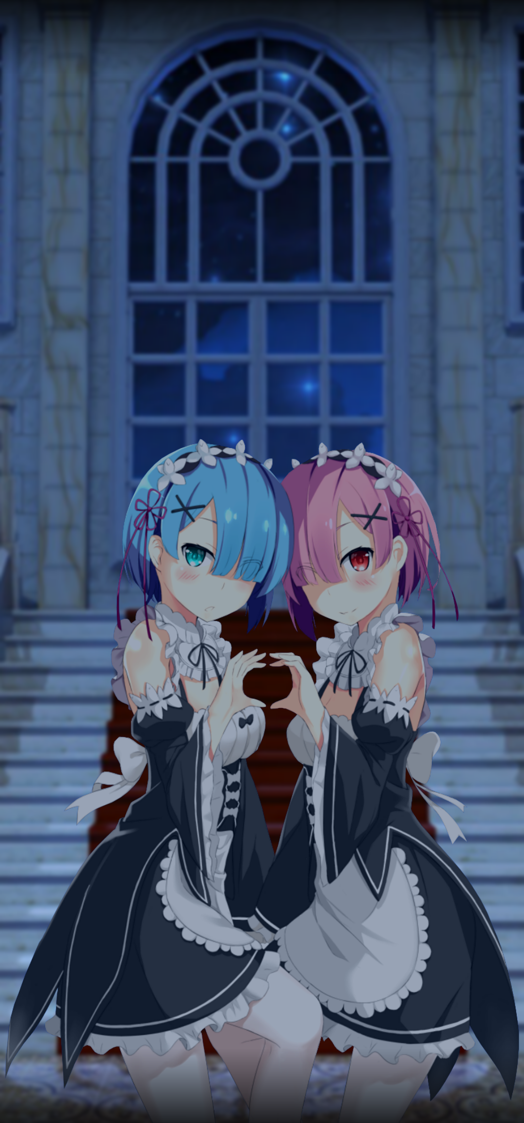 1080x2316  Фон на телефон #62 Две горничные | Пикабу