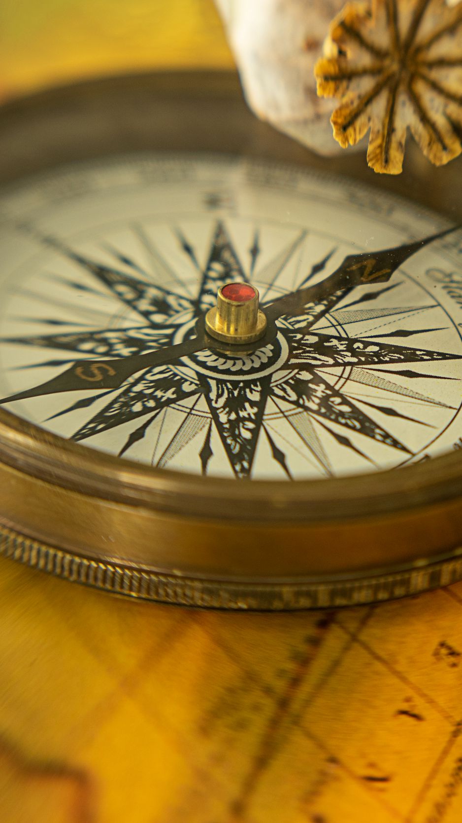 938x1668  Скачать 938x1668 роза ветров, компас, винтаж обои, картинки iphone 8/7/6s/6  for parallax