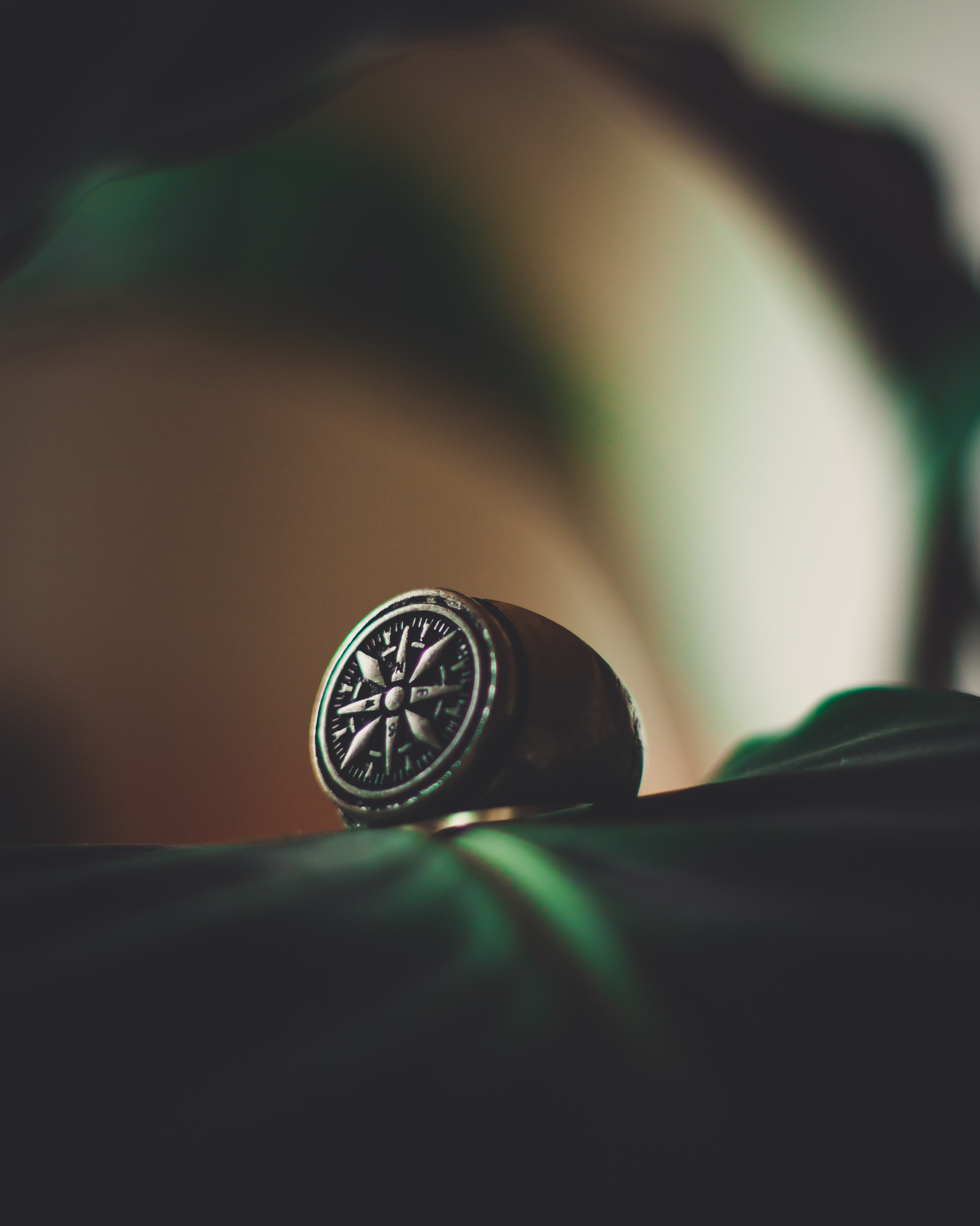 3456x4320  Rose Of Wind wallpapers for desktop, download free Rose Of Wind pictures  and backgrounds for PC | mob.org