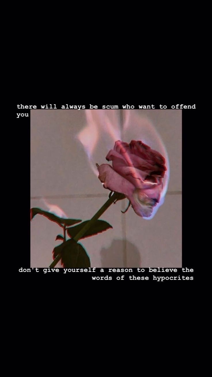 736x1309  ОБОИ НА ТЕЛЕФОН С НАДПИСЯМИ | Черные обои, Розовые почки, Цветочные фоны