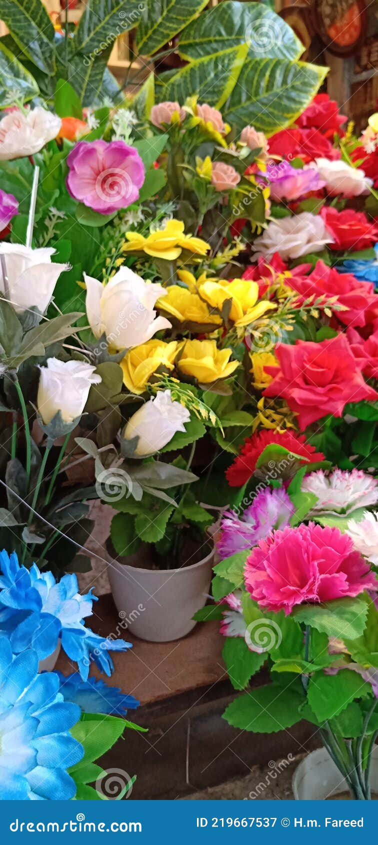 756x1690  телефон обои Hq изображение цвета искусственные цветы Стоковое Изображение  - изображение насчитывающей сад, цветки: 219667537