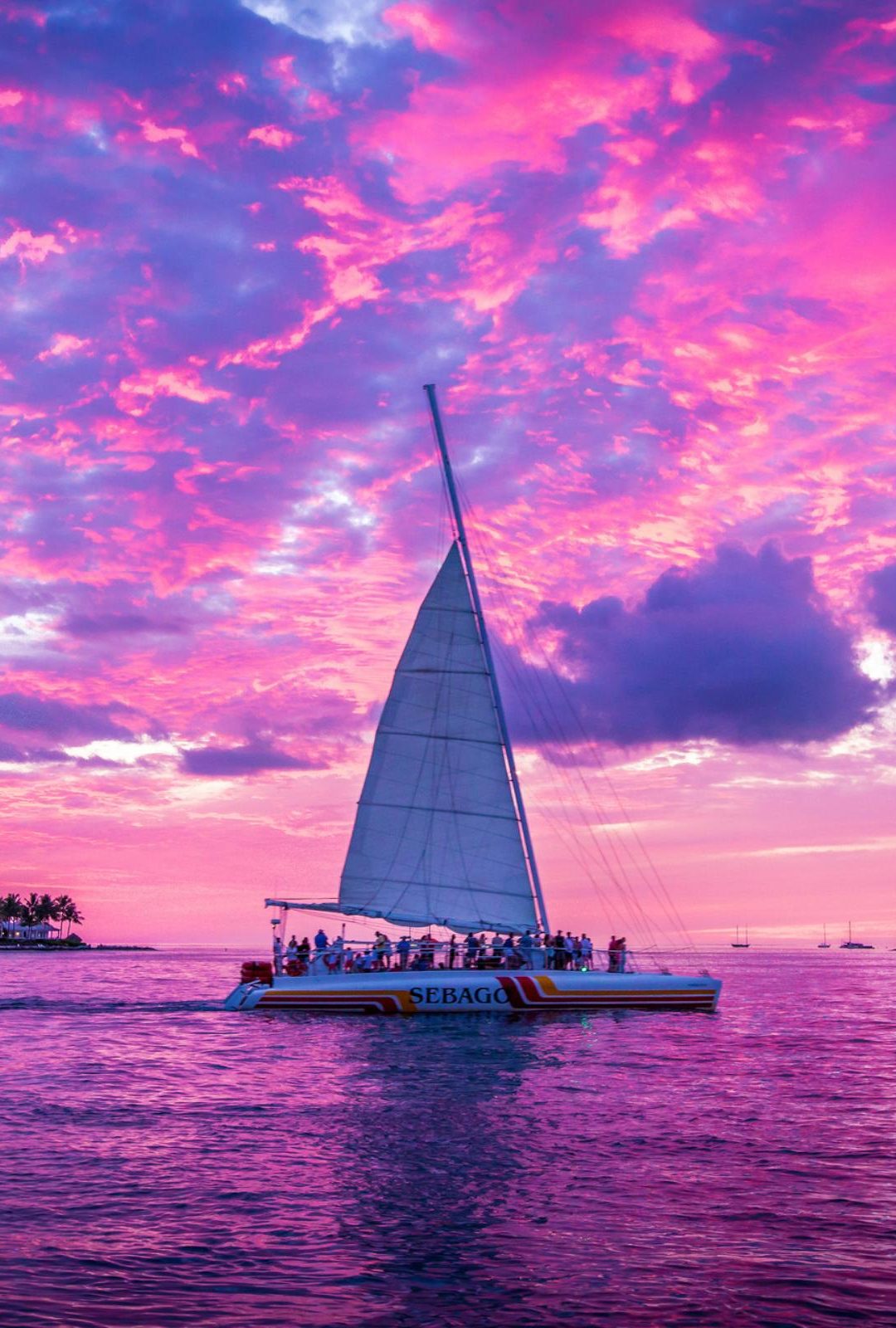 1080x1600  Розовый закат | DeskArt