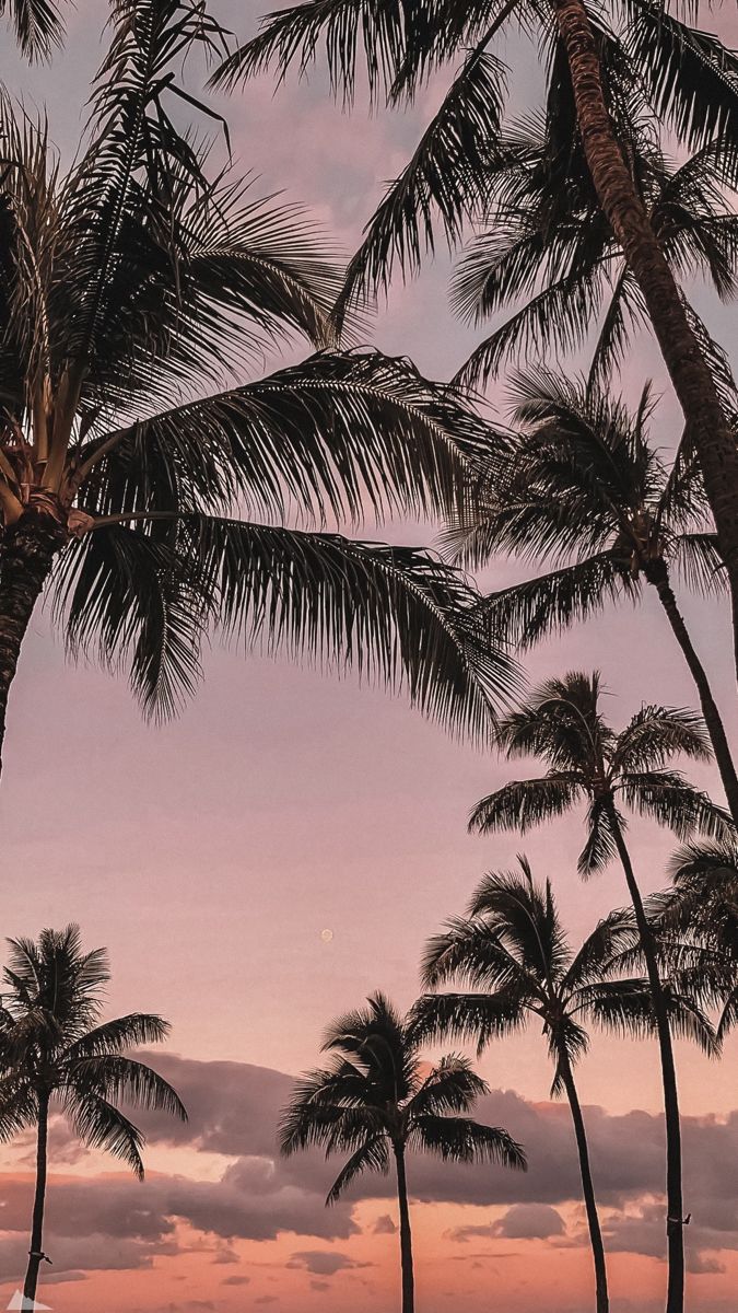 675x1200  Обои на телефон | Фоновые рисунки, Пейзажи, Современный пейзаж