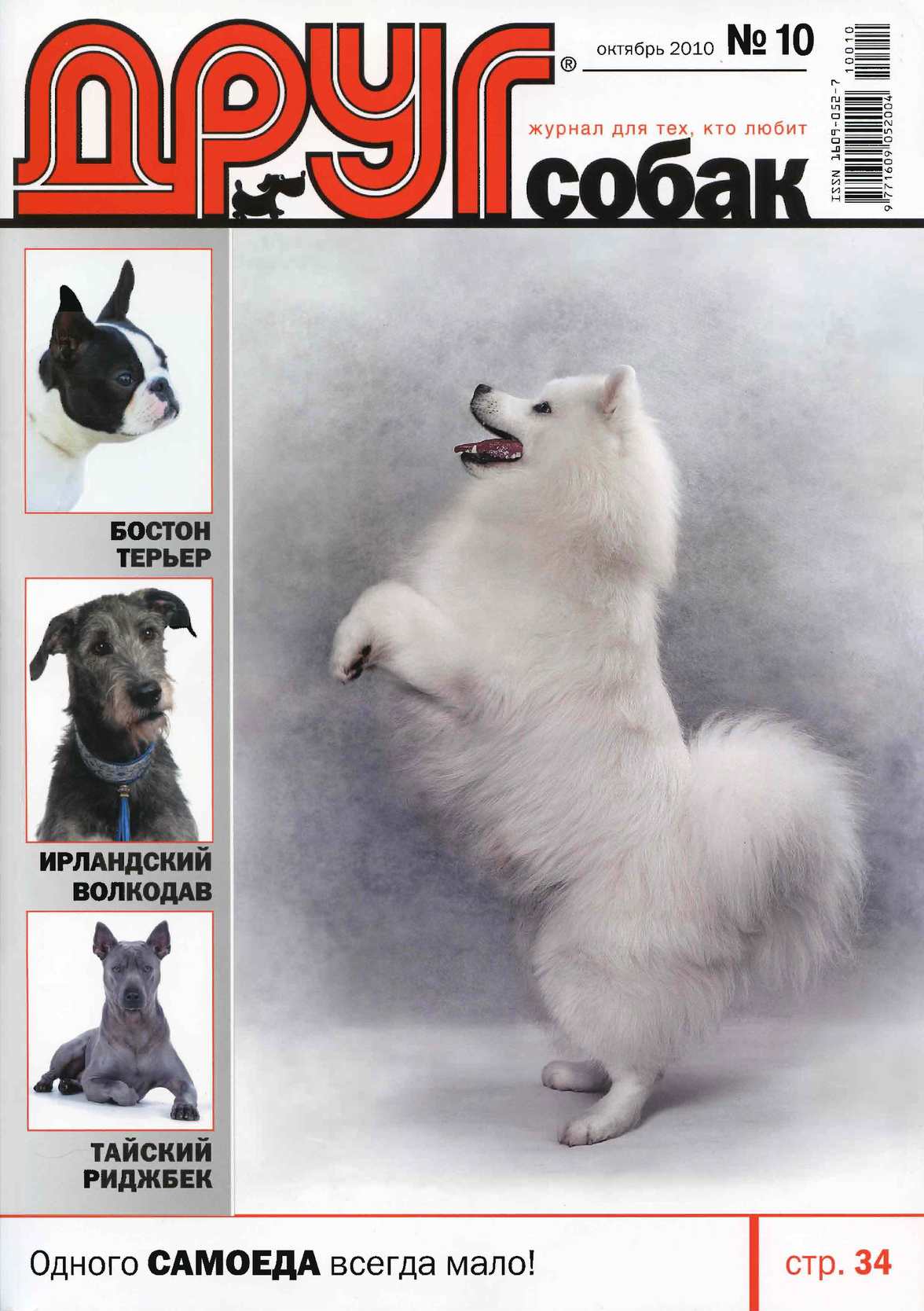 1176x1668  Calaméo - Друг собак 2010 - №10