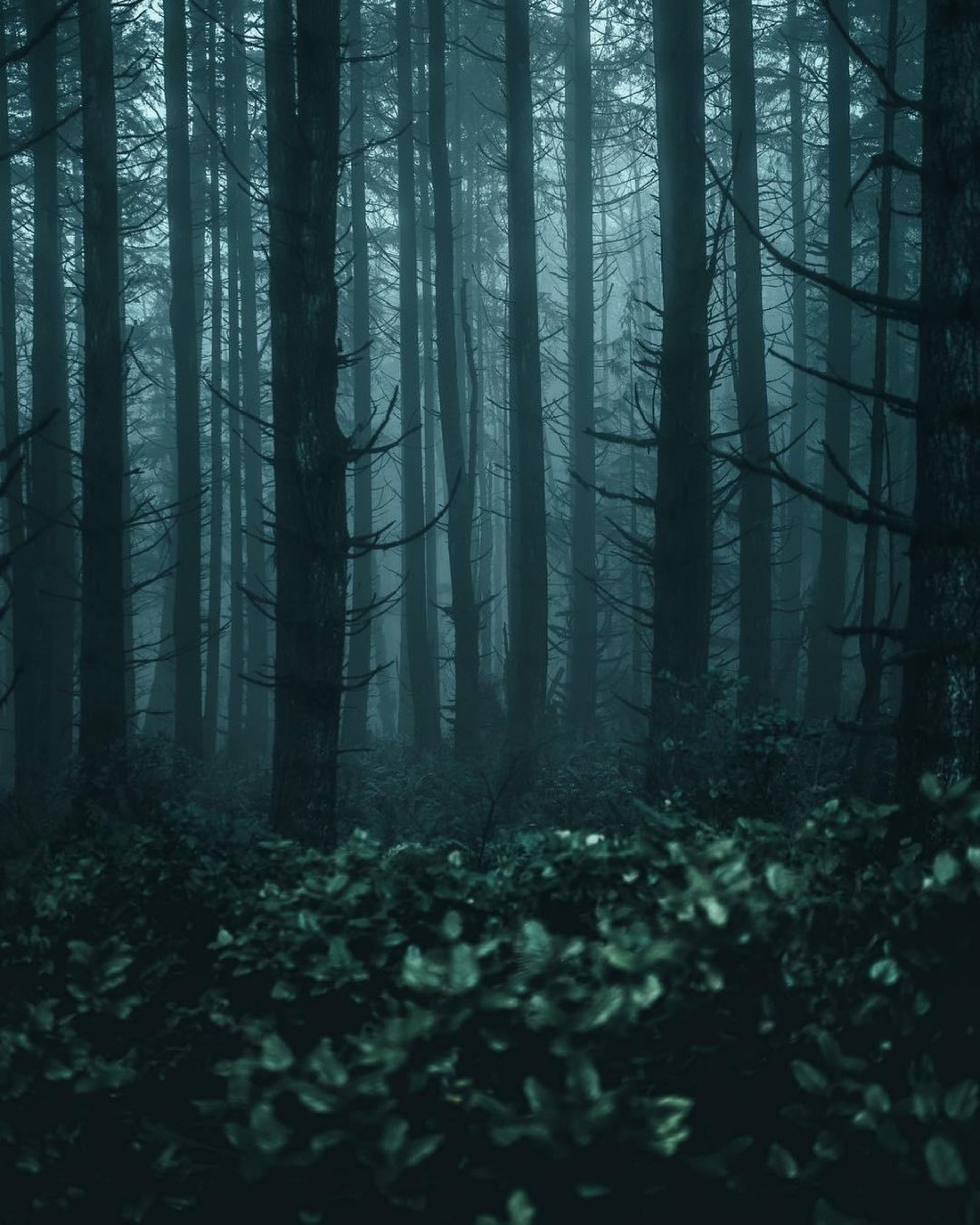 1920x2400  Мир Антенн, представитель МТС-ТВ, НТВ Плюс, Фурье, 7а, Иркутск — 2ГИС