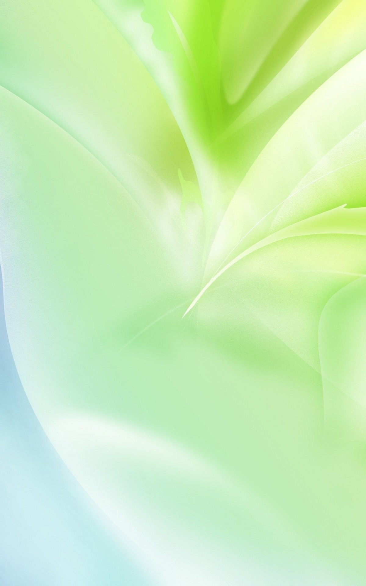 1200x1920  Нежно зеленые обои на телефон - фото и картинки abrakadabra.fun