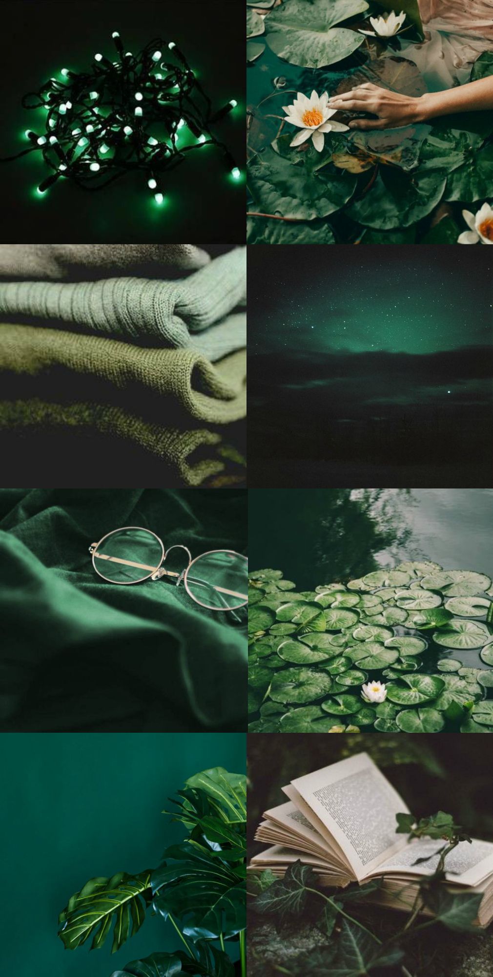 1010x2000  Обои на телефон в зеленых тонах - 63 фото