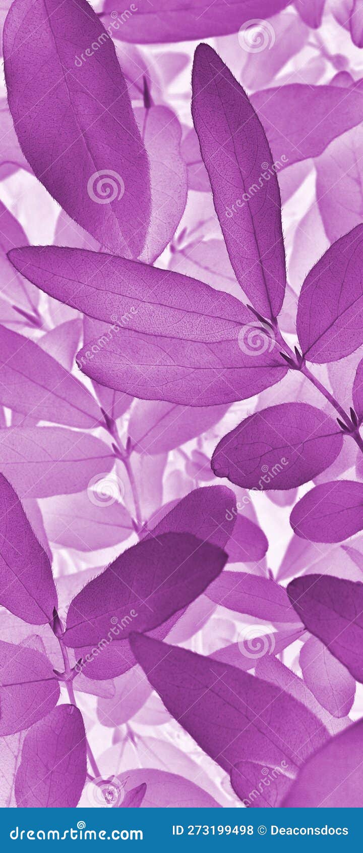 720x1690  Заставки на телефон фиолетовые (58 фото)