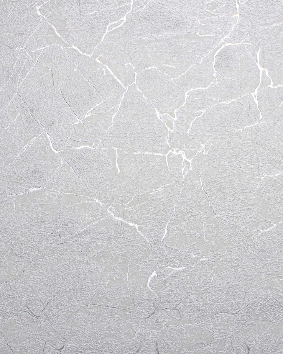 960x1200  283797/Обои/Accento/Ground/трещины серебристые на сером фоне/Вспенен винил  на флизилине/40148