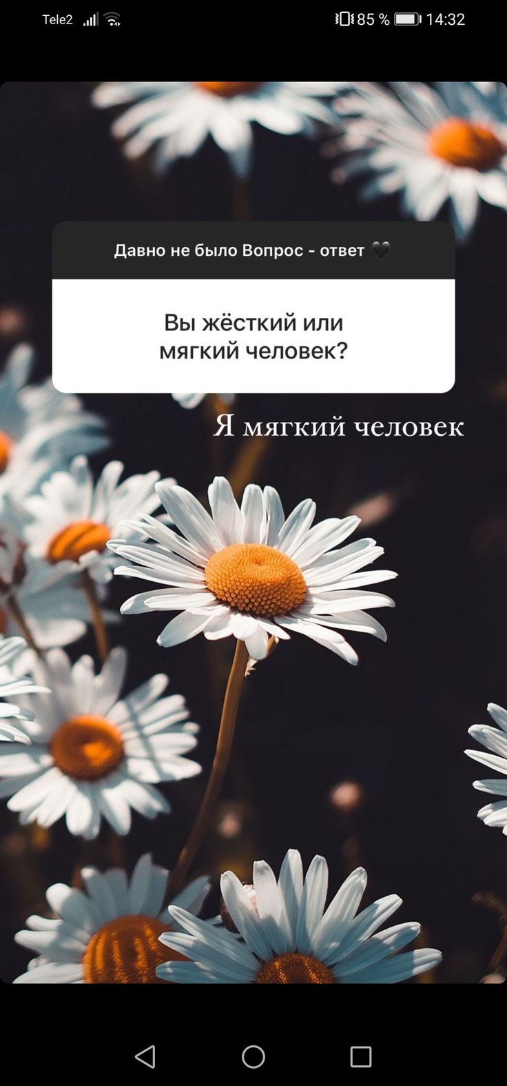 736x1575  Пин от пользователя Ирина на доске обои на телефон | Обои