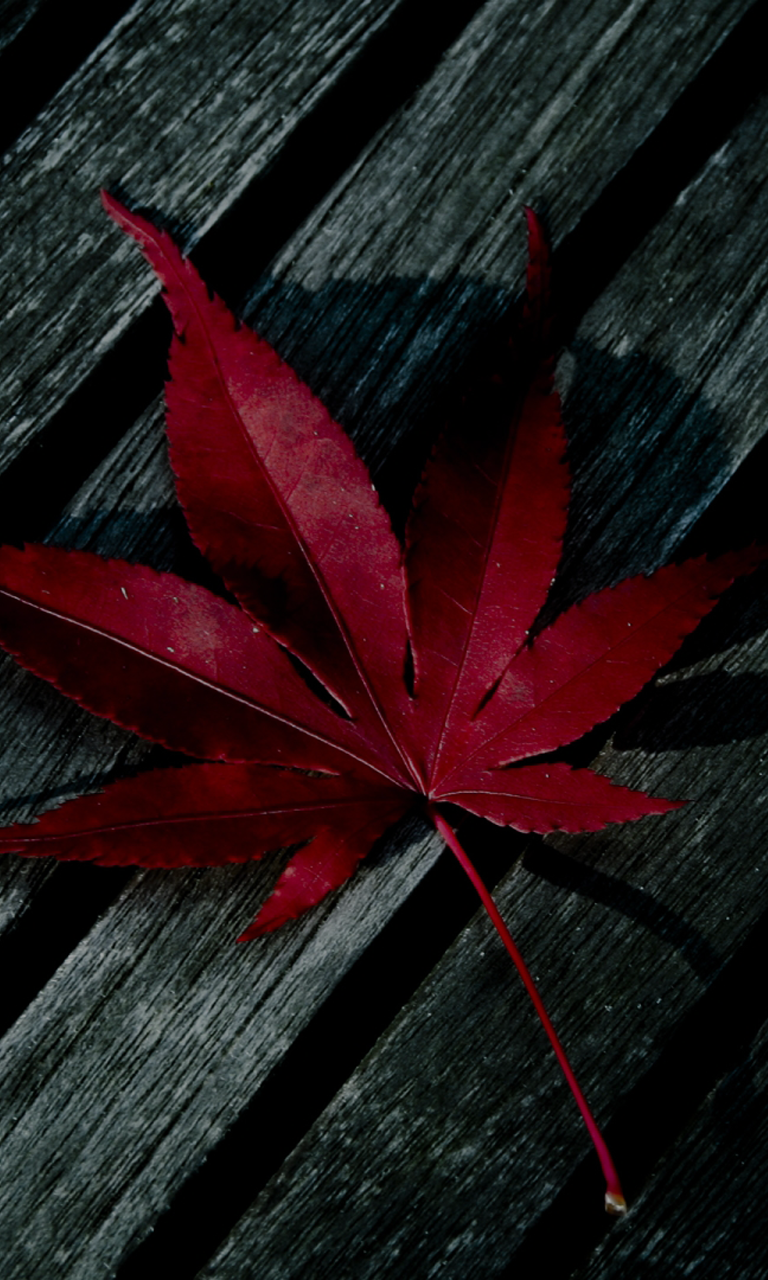 768x1280  Скачать обои \"Голубой\" на телефон в высоком качестве, вертикальные картинки  \"Голубой\" бесплатно