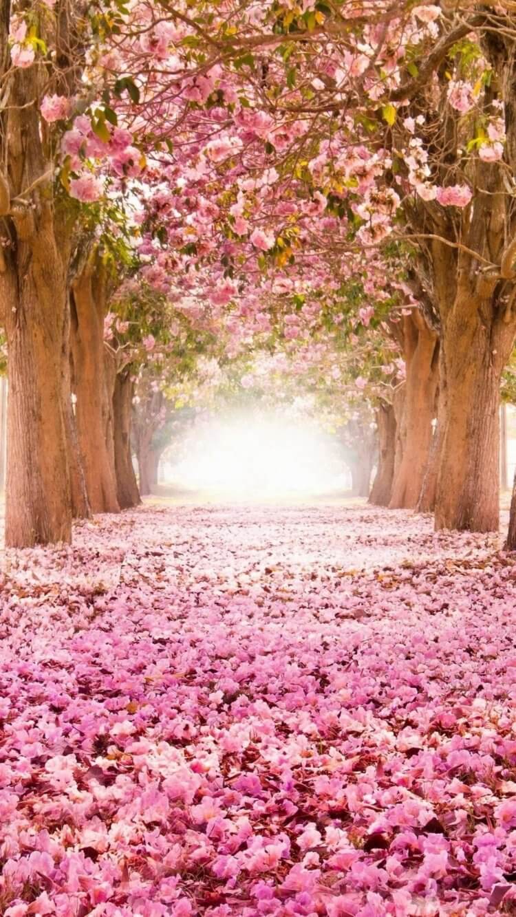 750x1333  Скачать 3D Тоннель Живые Обои 🌀 Скачать Обои На Телефон APK для Android