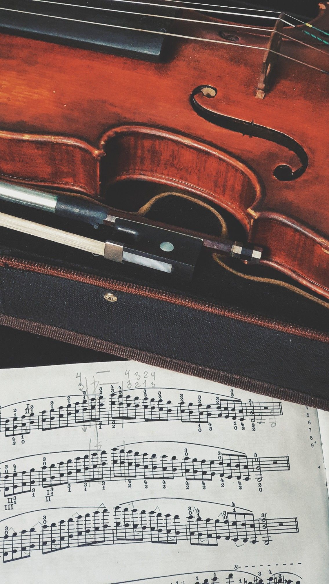 1135x2016  Скрипка обои на телефон (23 фото)