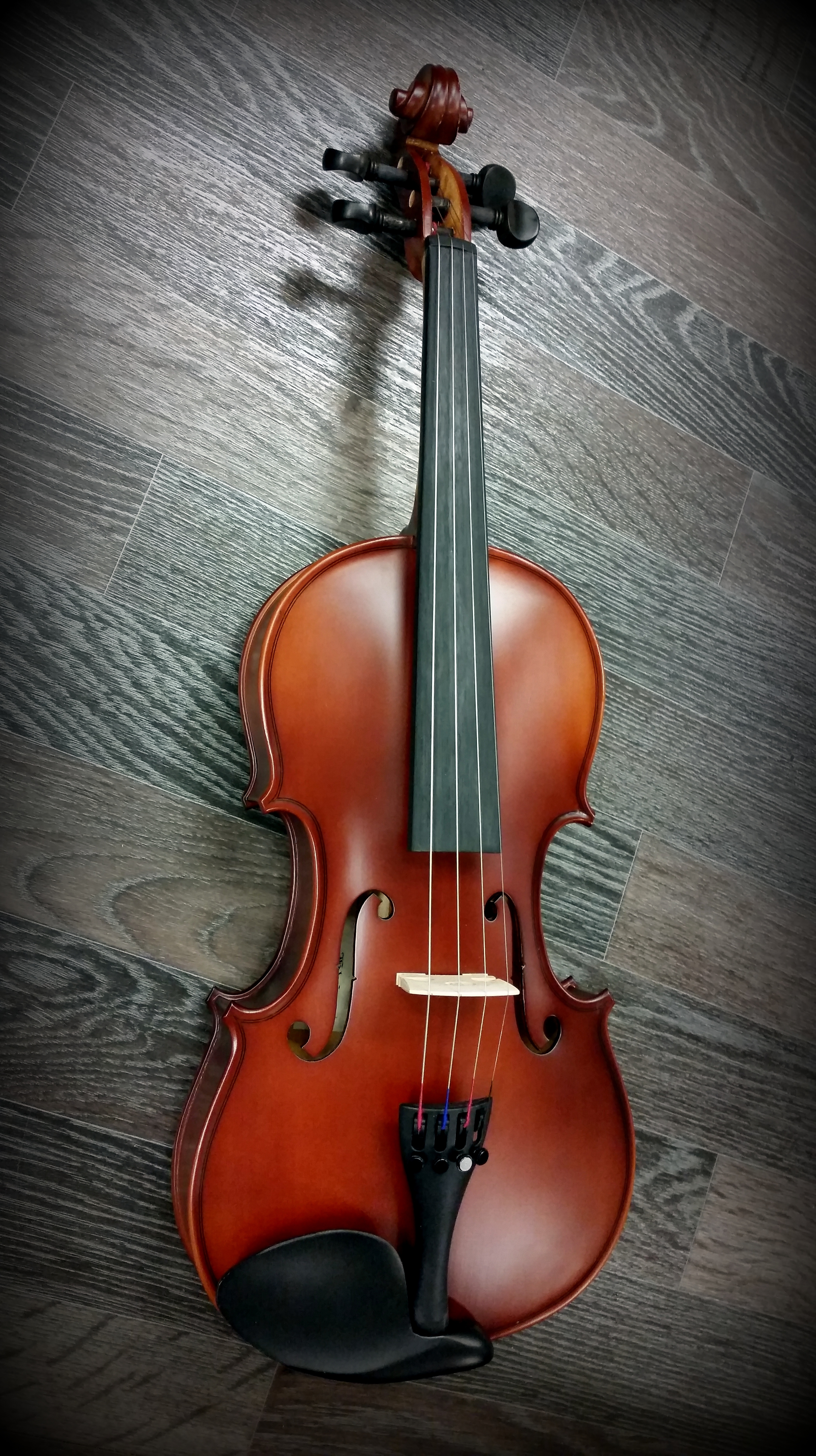 2976x5312  Виолончель Музыка Музыкант - Бесплатное фото на Pixabay - Pixabay