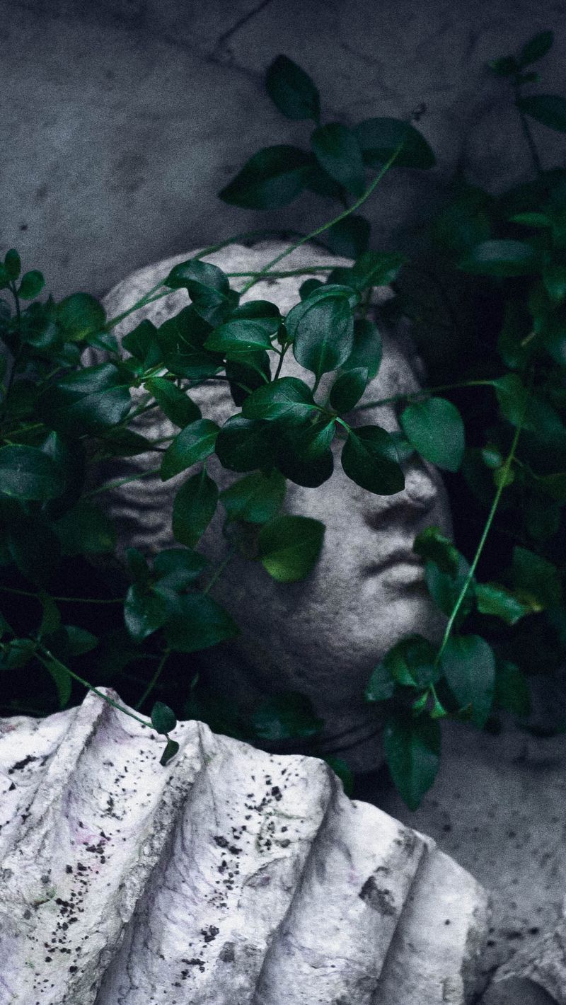 800x1420  Скачать 800x1420 скульптура, античный, листва, руины обои, картинки iphone  se/5s/5c/5 for parallax