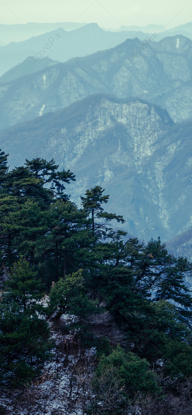 650x1407  Снег пейзаж мобильный телефон обои изображение_Фото номер 400790258_JPG  Формат изображения_ru.lovepik.com