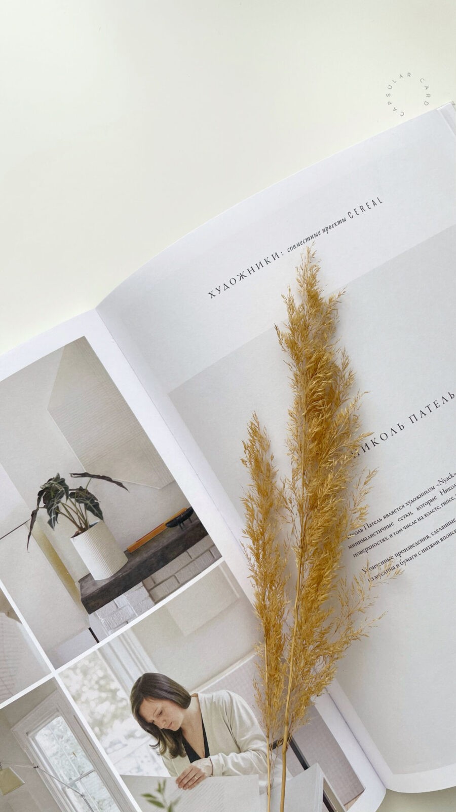 900x1600  Обои на телефон скачать | Купить открытки, планеры и ежедневники в  интернет-магазине Capsular Card