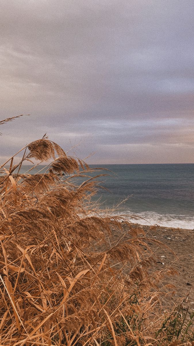 675x1200  Море Сочи | Landscape wallpaper, Background, Aesthetic wallpapers