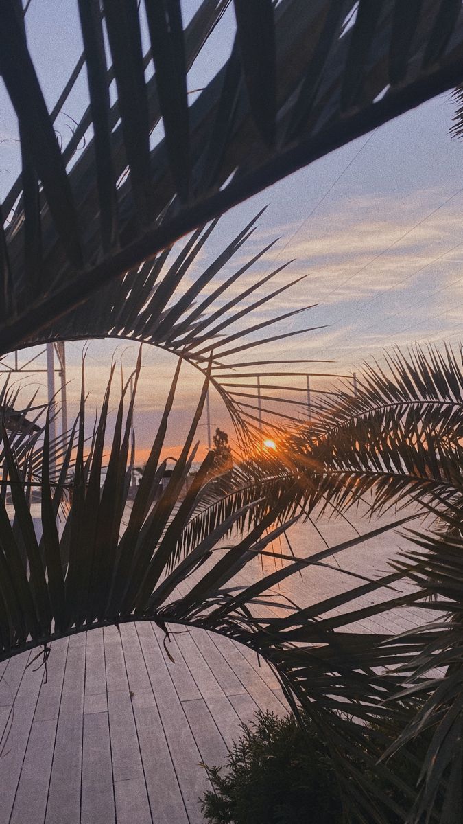 675x1200  Море Сочи | Живописные пейзажи, Пляжные сцены, Современный пейзаж