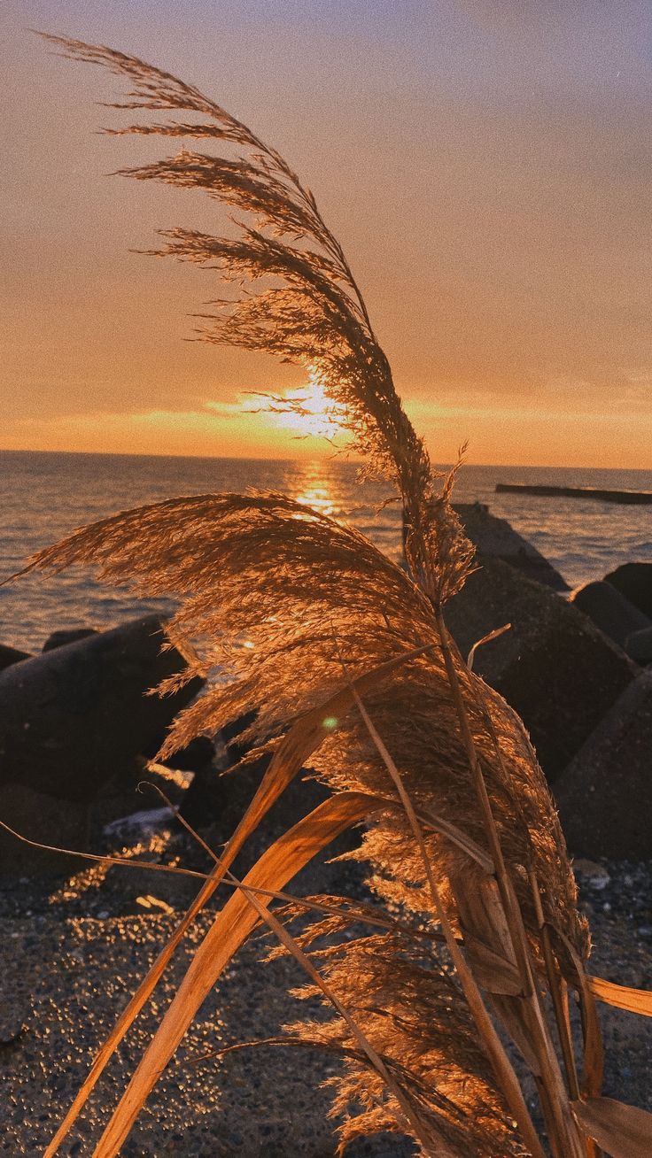 736x1308  Сочи. Sochi. Набережная | Живописные пейзажи, Пейзажи, Сочи