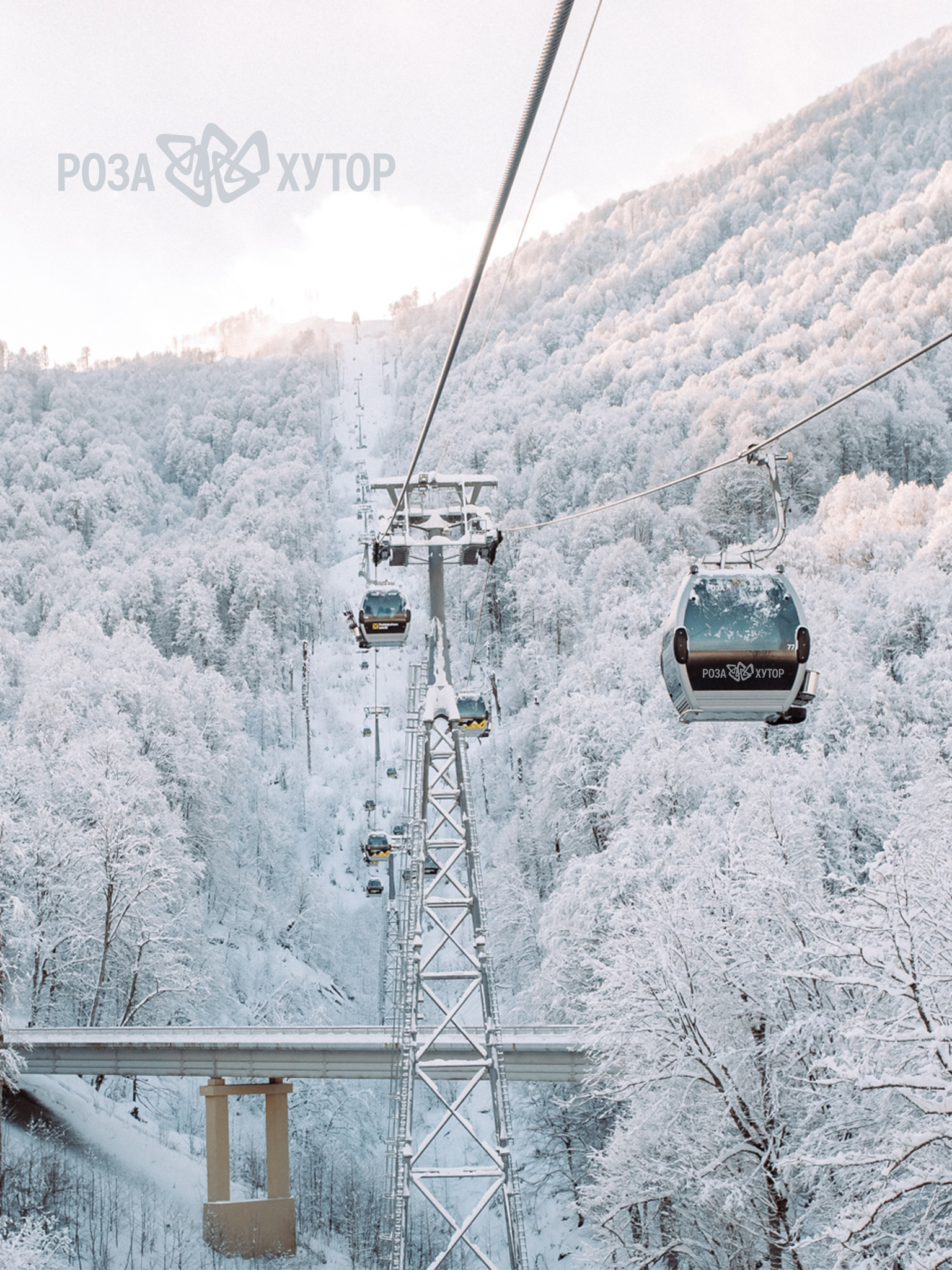 1536x2048  Сочи /Адлер /Курортный Городок закат в Адлере Сочи#Сочи | Летнее  путешествие, Летние картинки, Закаты