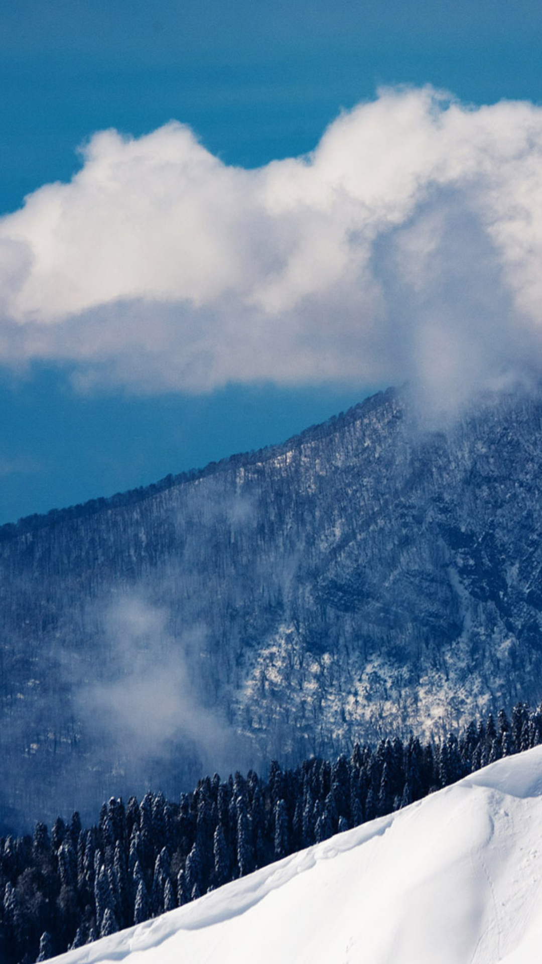 1080x1920  Sochifornia | Морские обои, Закаты, Морская тема