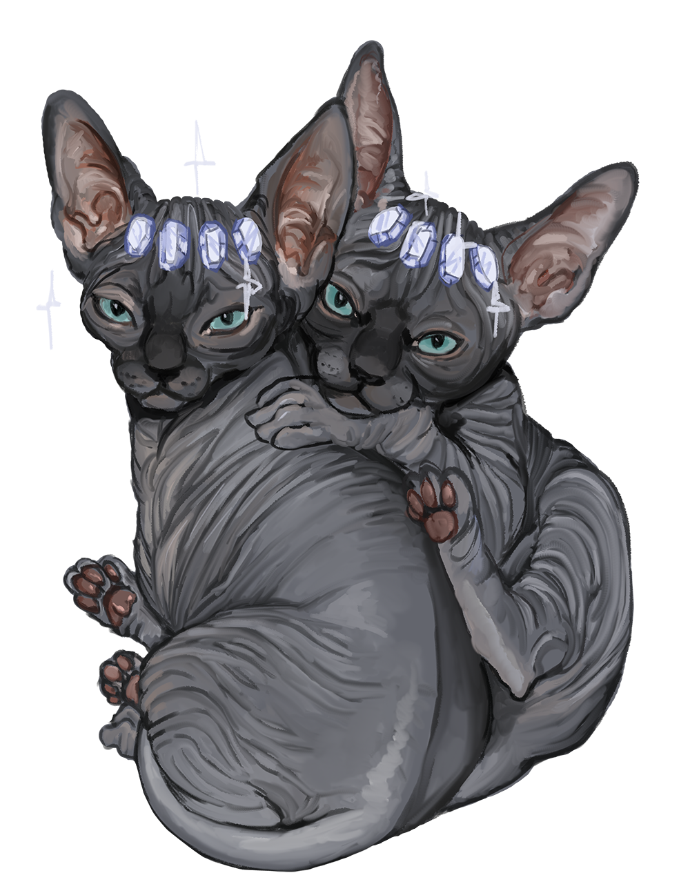 1000x1294  Котики сфинксы - 71 фото