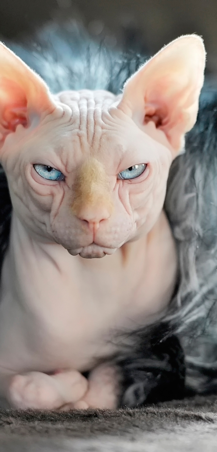 720x1500  Смарт часы Smart Watch X9 Pro Amazfit 173797579 купить за 3 993 ₽ в  интернет-магазине Wildberries