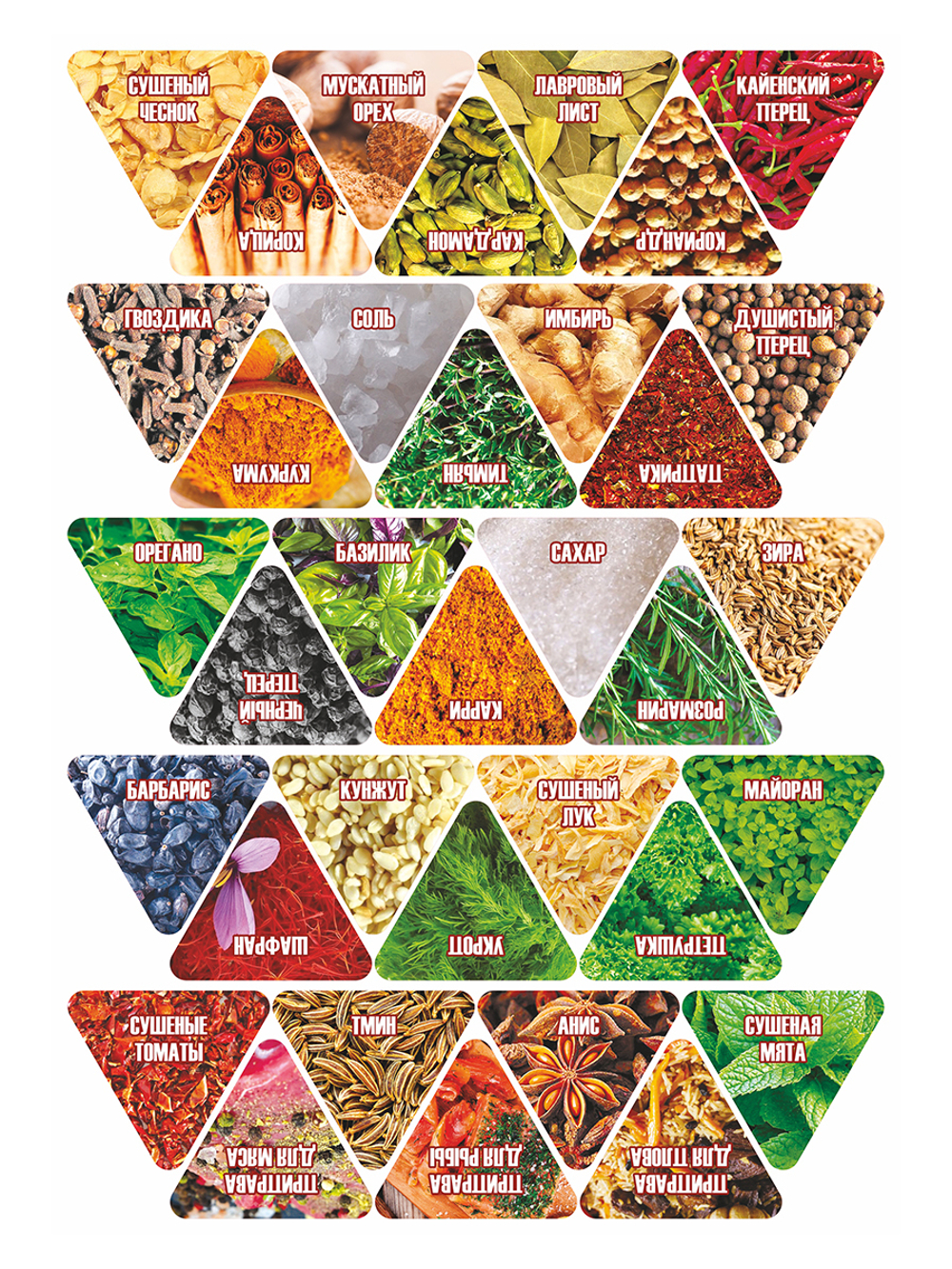 1000x1333  Фотообои - Детские 44-17 в Астане заказать | domoboev.kz