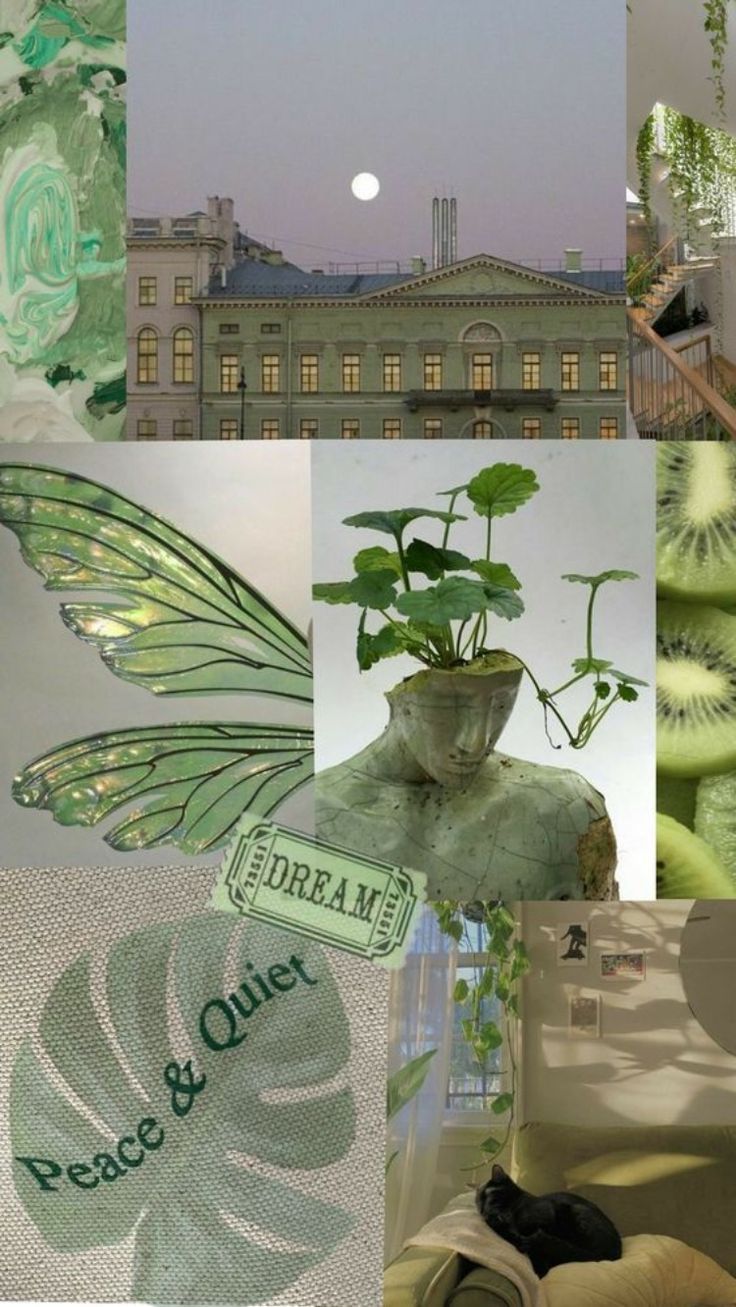 736x1307  Обои на телефон, wallpaper for phone, wallpaper, обои, aesthetic phone  wallpapers, эстетичны… | Green aesthetic tumblr, Green aesthetic, Mint  green wallpaper iphone