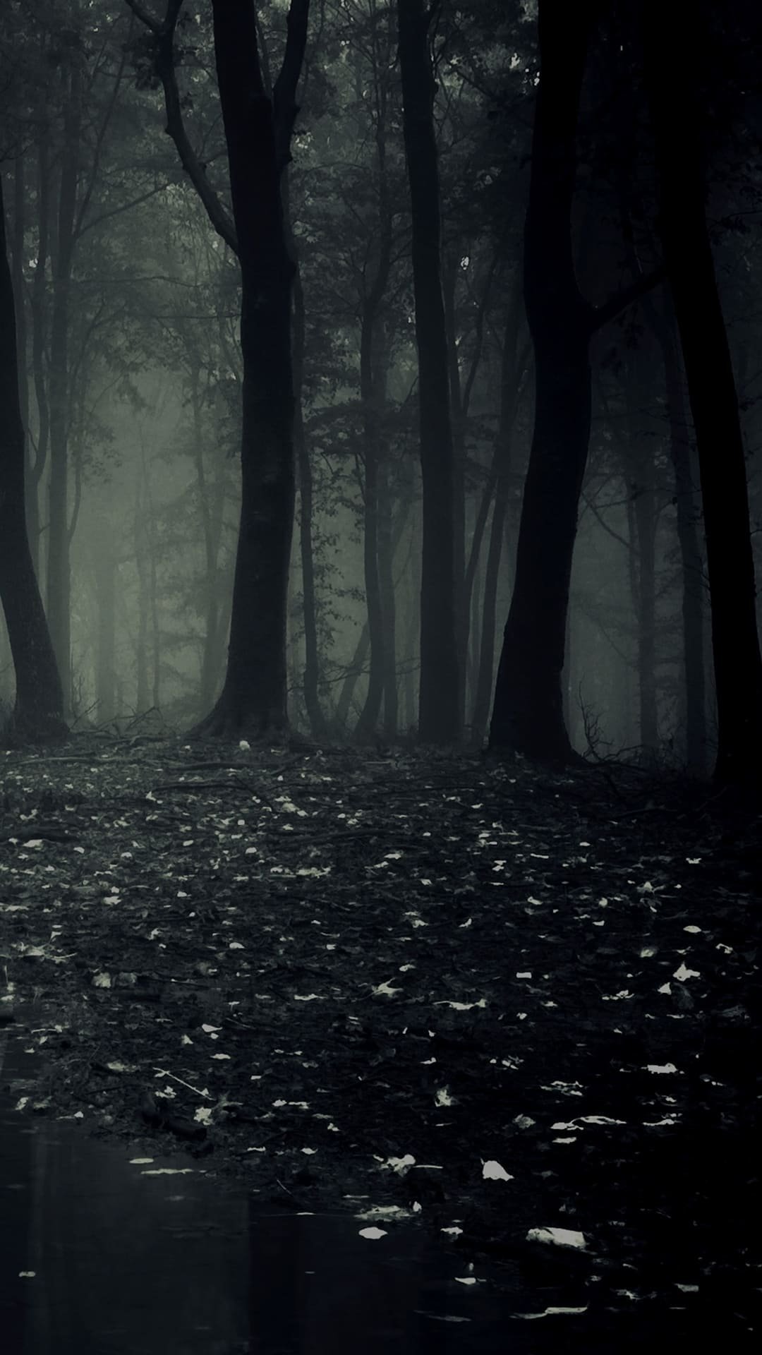 1080x1920  Темные Обои На Телефон Full – Telegraph