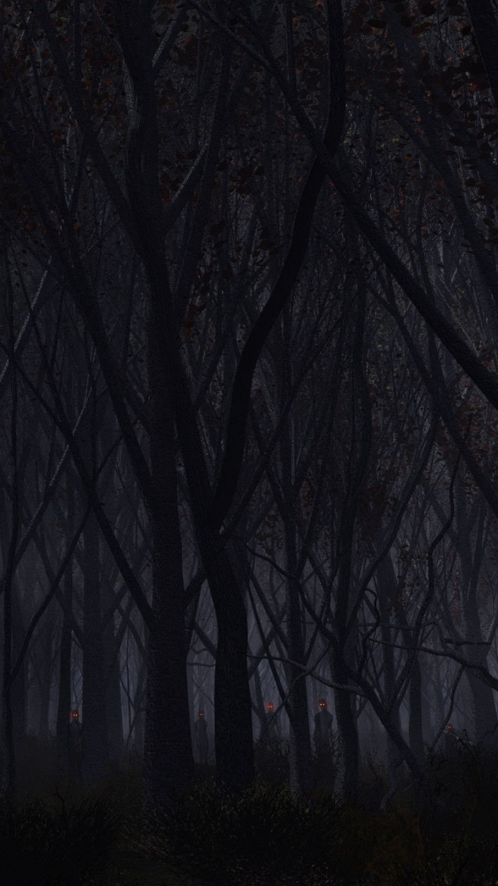 720x1280  Темный лес обои для телефона, HD заставки и картинки на экран блокировки  720x1280 | Akspic