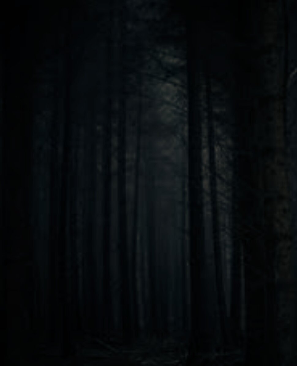 970x1195  Темный лес обои для Андроид Full HD, лучшие 1080x1920 заставки на телефон |  Akspic