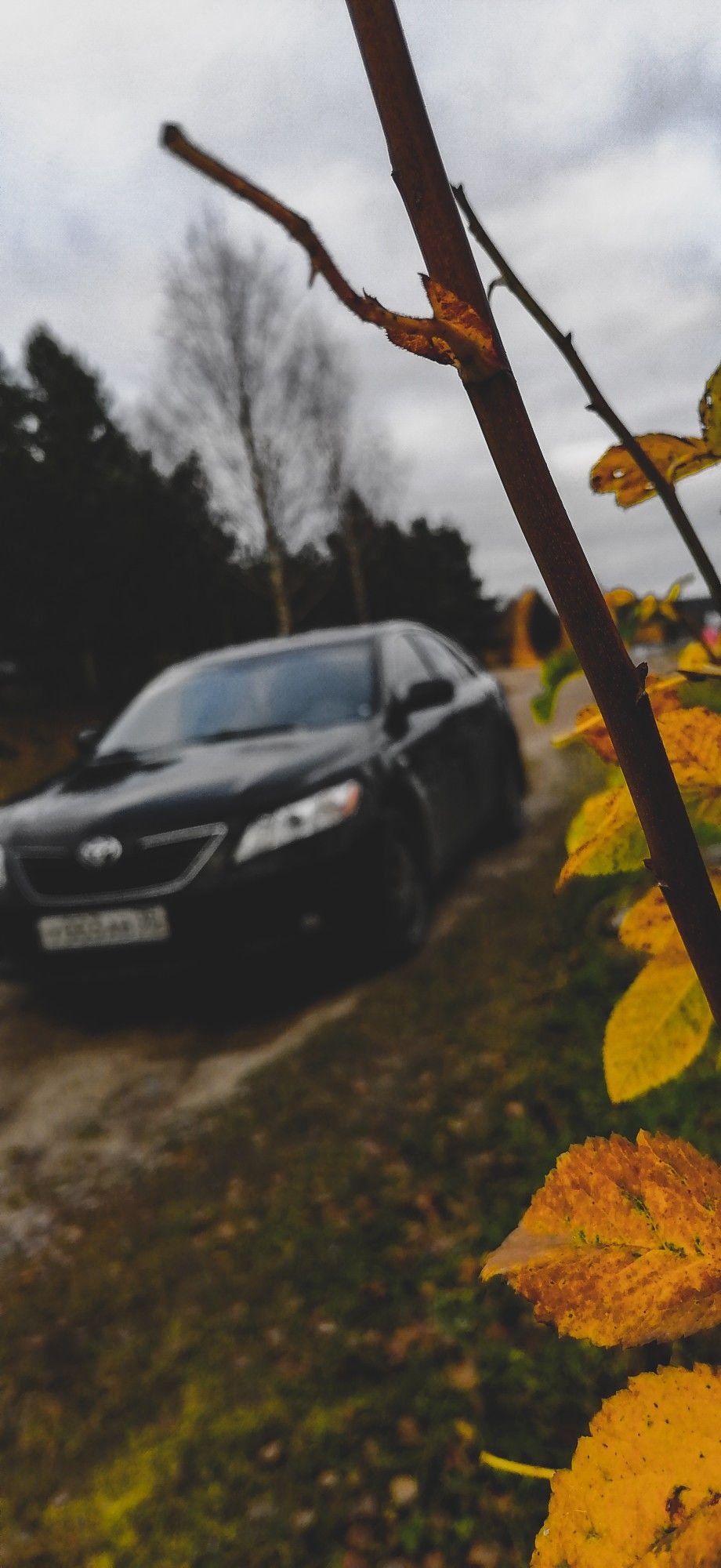 920x2000  Тойота камри обои на телефон - фото и картинки abrakadabra.fun