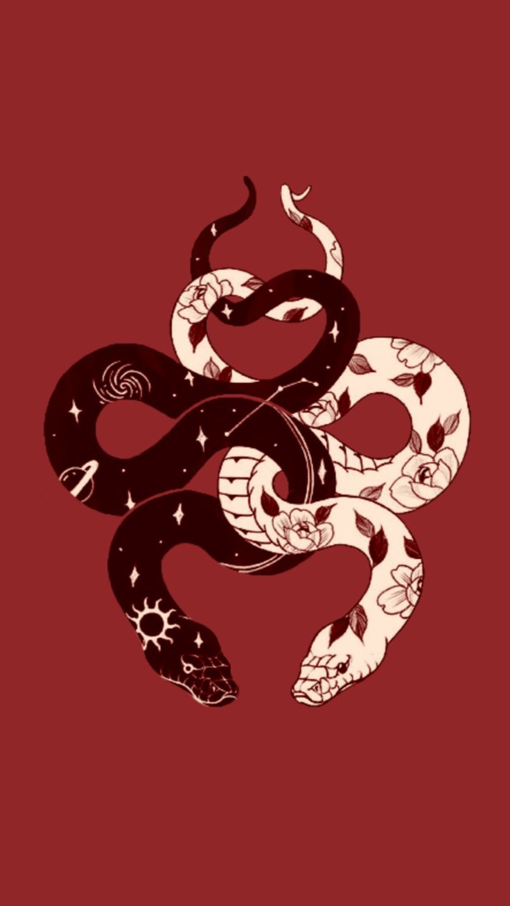 736x1308  Обои для телефона змеи на бордо | Рисунки драконов, Обои искусство,  Винтажные плакаты