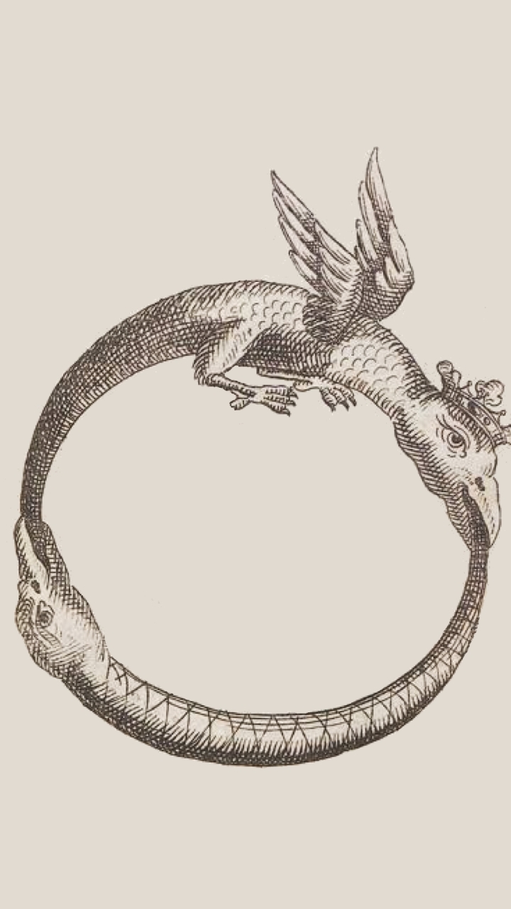 720x1280  Скачать обои \"Уроборос\" на телефон в высоком качестве, вертикальные картинки  \"Уроборос\" бесплатно