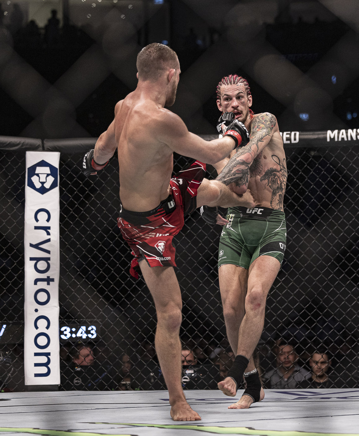 1159x1407  Александр Усик обои на телефон (29 фото)