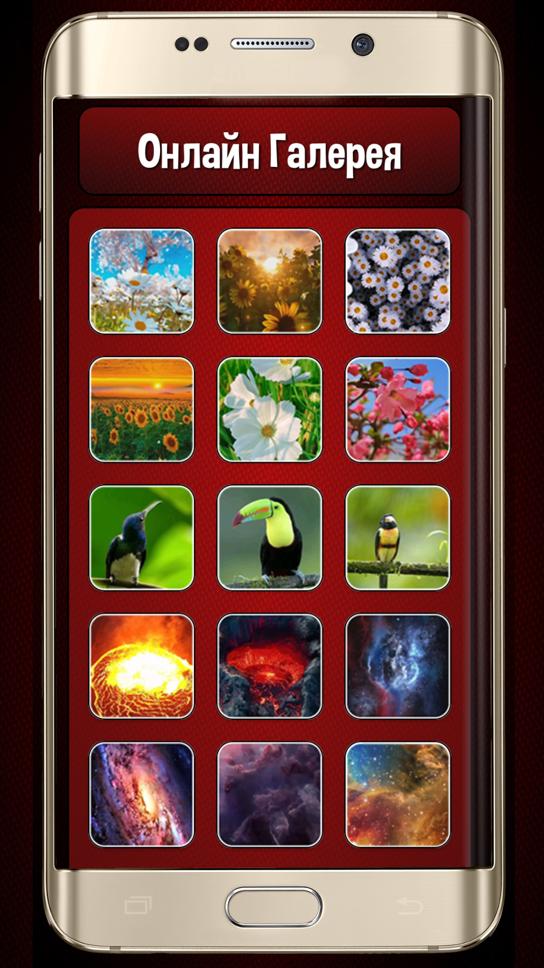 1080x1920  Живые Видео обои – скачать приложение для Android – Каталог RuStore