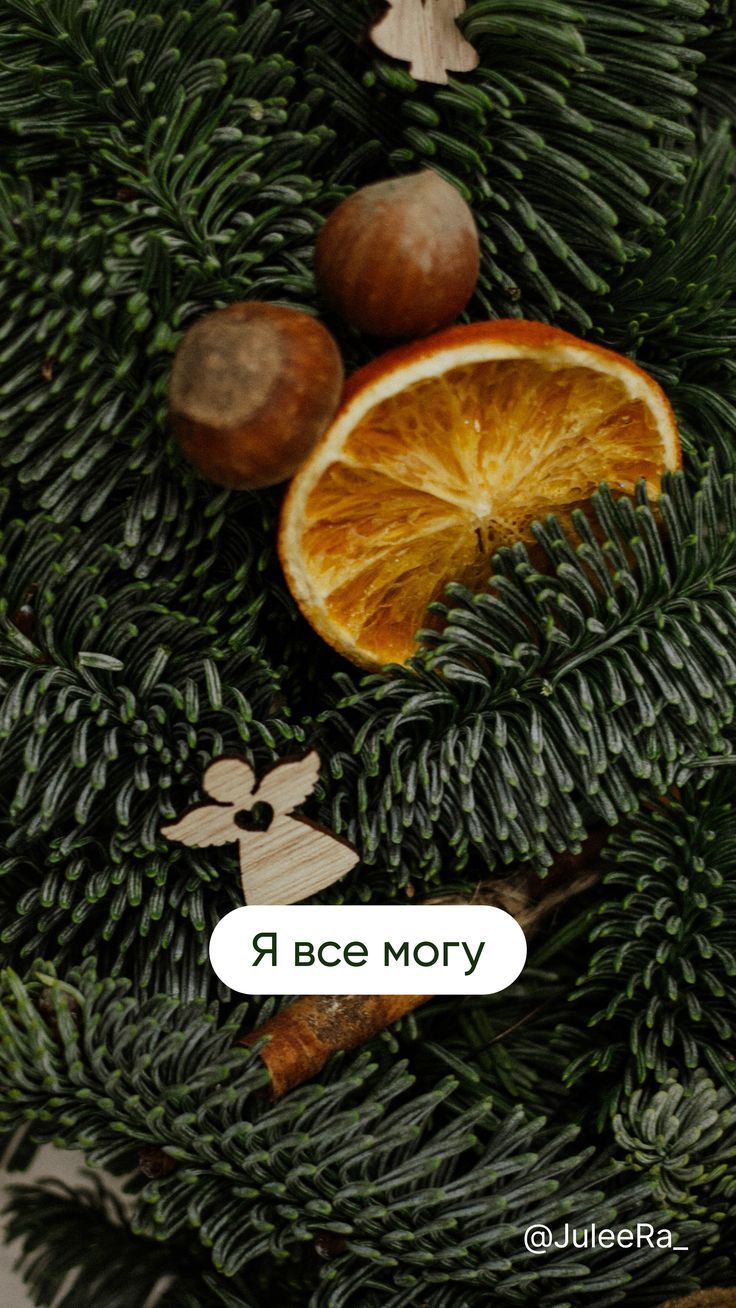 736x1308  Зимние картинки. Уютные цитаты. Новогодние фоны на телефон. Обои на телефон.  hd качество | Зимние картинки, Картинки, Обои