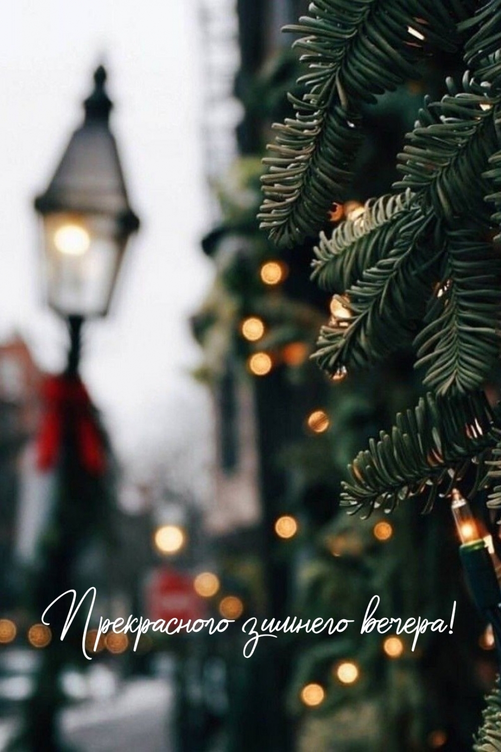 1000x1501  Зима: красивые картинки на телефон. 99 изображений