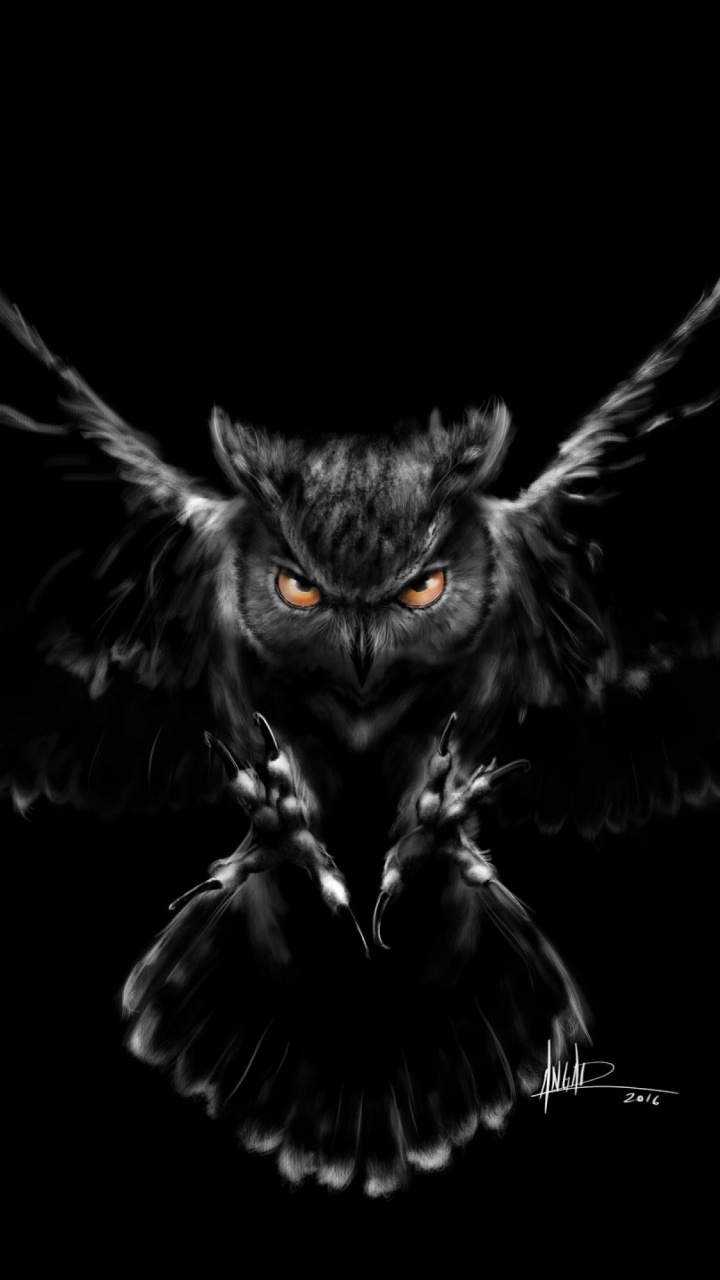 720x1280  Филин обои для телефона, HD заставки и картинки на экран блокировки  720x1280 | Akspic