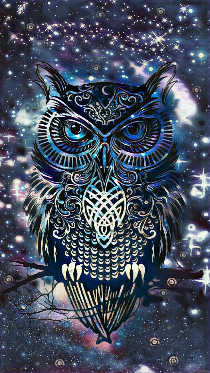 736x1308  Картинки на телефон сова - 69 фото
