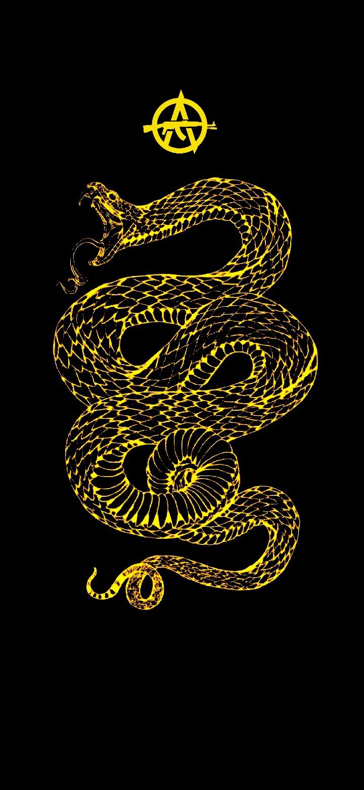 720x1560  Идеи на тему «Либертарианство» (27) в 2023 г | анархизм, глифы тату,  татуировка птица