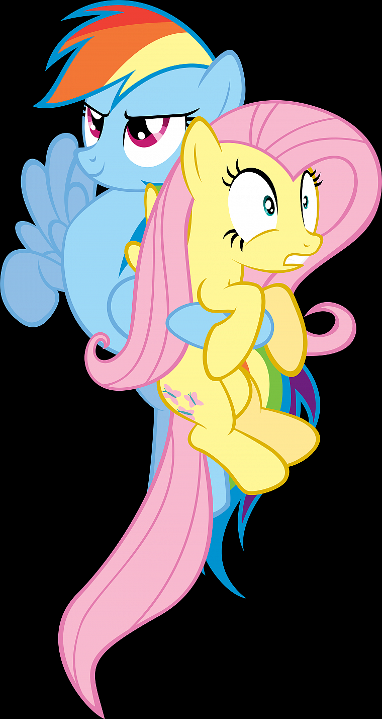 760x1428  My Little Pony, Fluttershy, ponies, Rainbow Dash, My Little Pony:  Friendship is Magic - Free Wallpaper / WallpaperJam.com