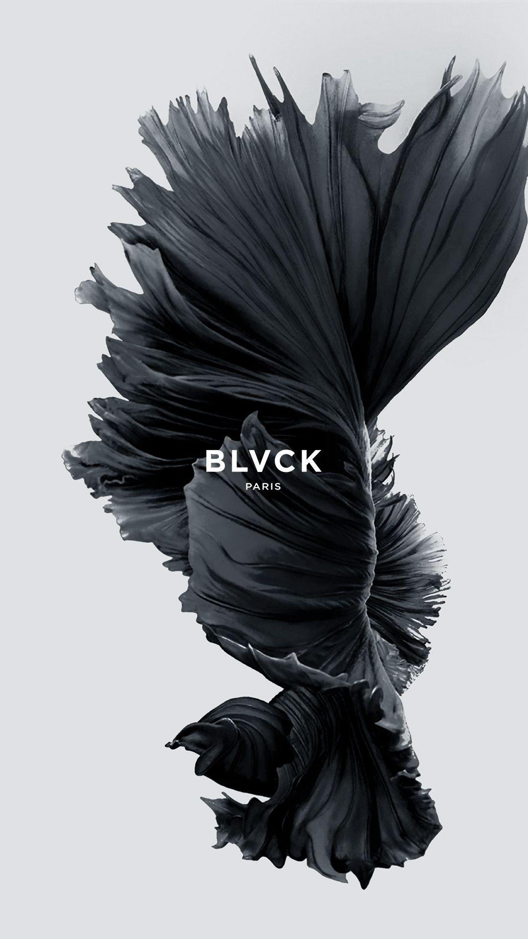 1080x1920  Pin on wallpaper