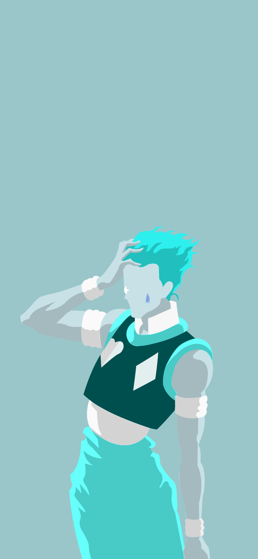 828x1792  Hisoka обои на телефон (25 фото)