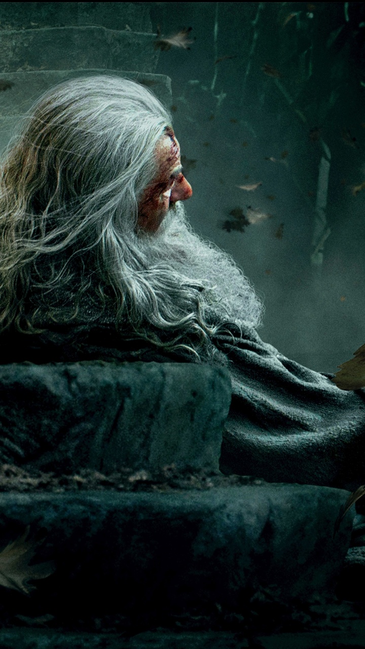 720x1280  Хоббит обои для телефона, HD заставки и картинки на экран блокировки  720x1280 | Akspic