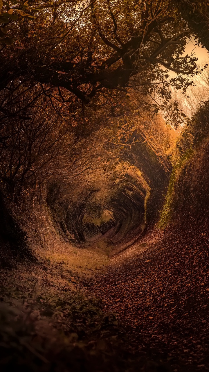 720x1280  Хоббит обои для телефона, HD заставки и картинки на экран блокировки  720x1280 | Akspic